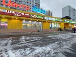 Briz (Trofimova Street, 36), shopping mall