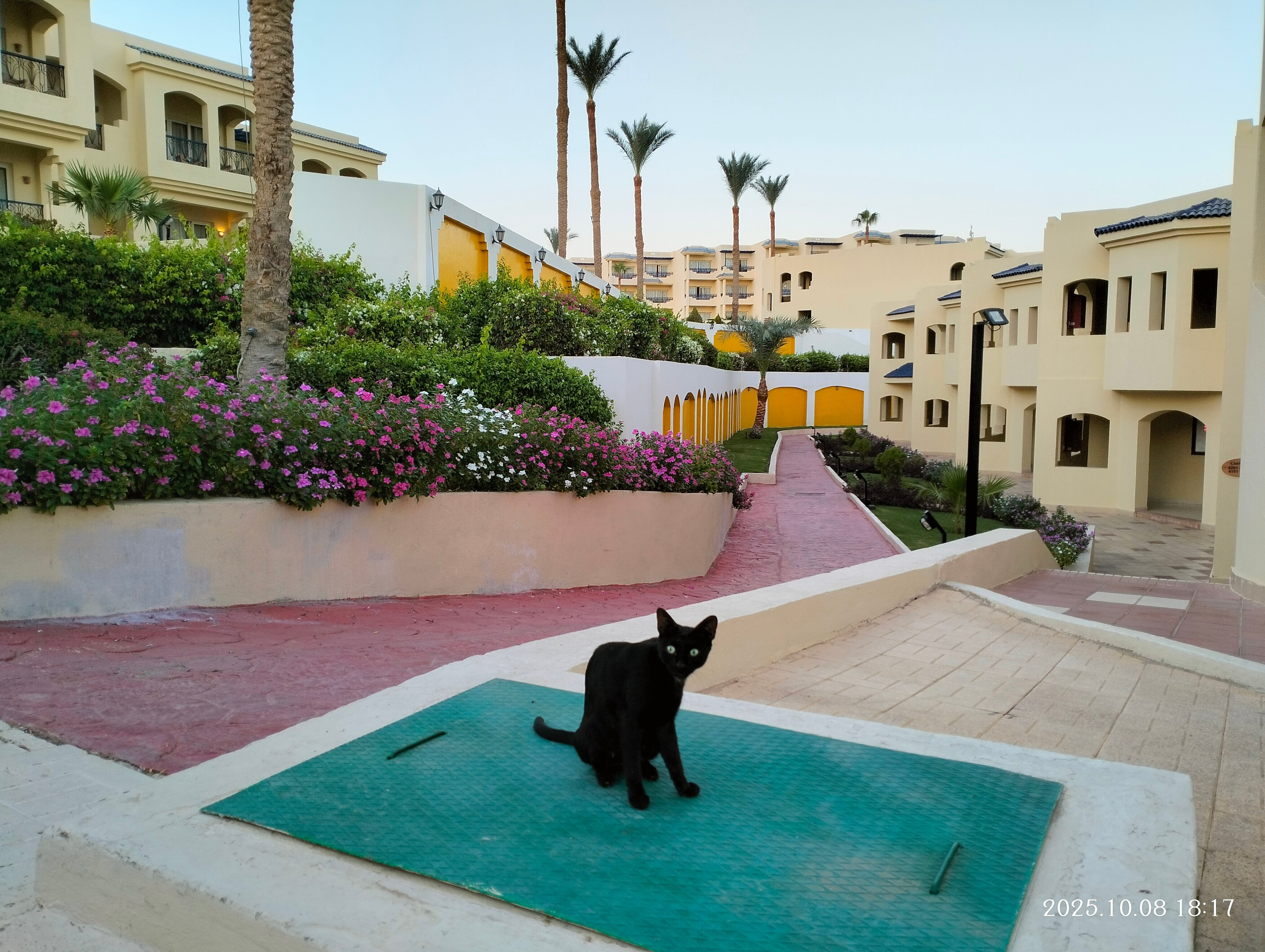 Фото Grand Oasis Resort