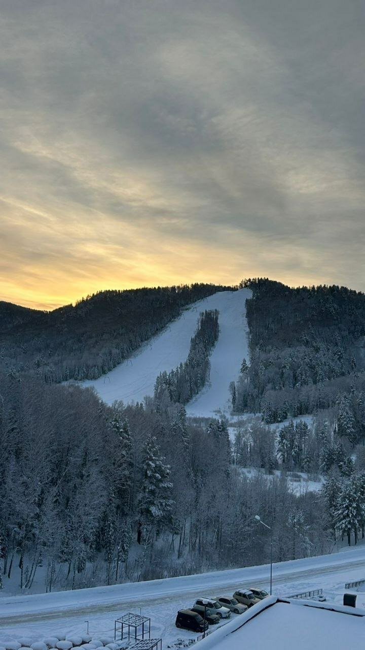 Фото Алтай Рестарт