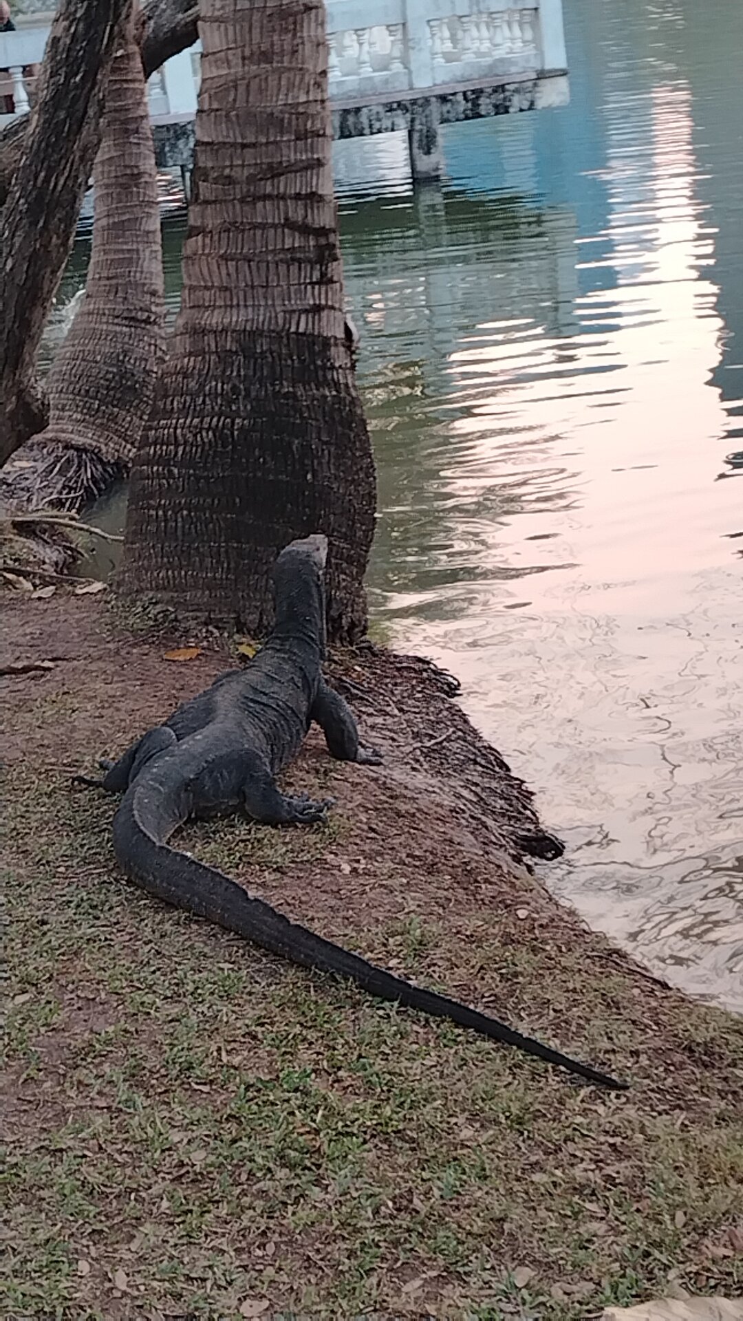 Фото Pinnacle Lumpinee Park Hotel