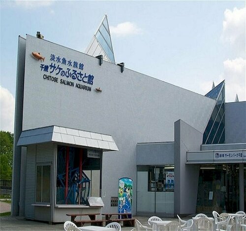 Гостиница Chitose Daiichi Hotel в Титосэ