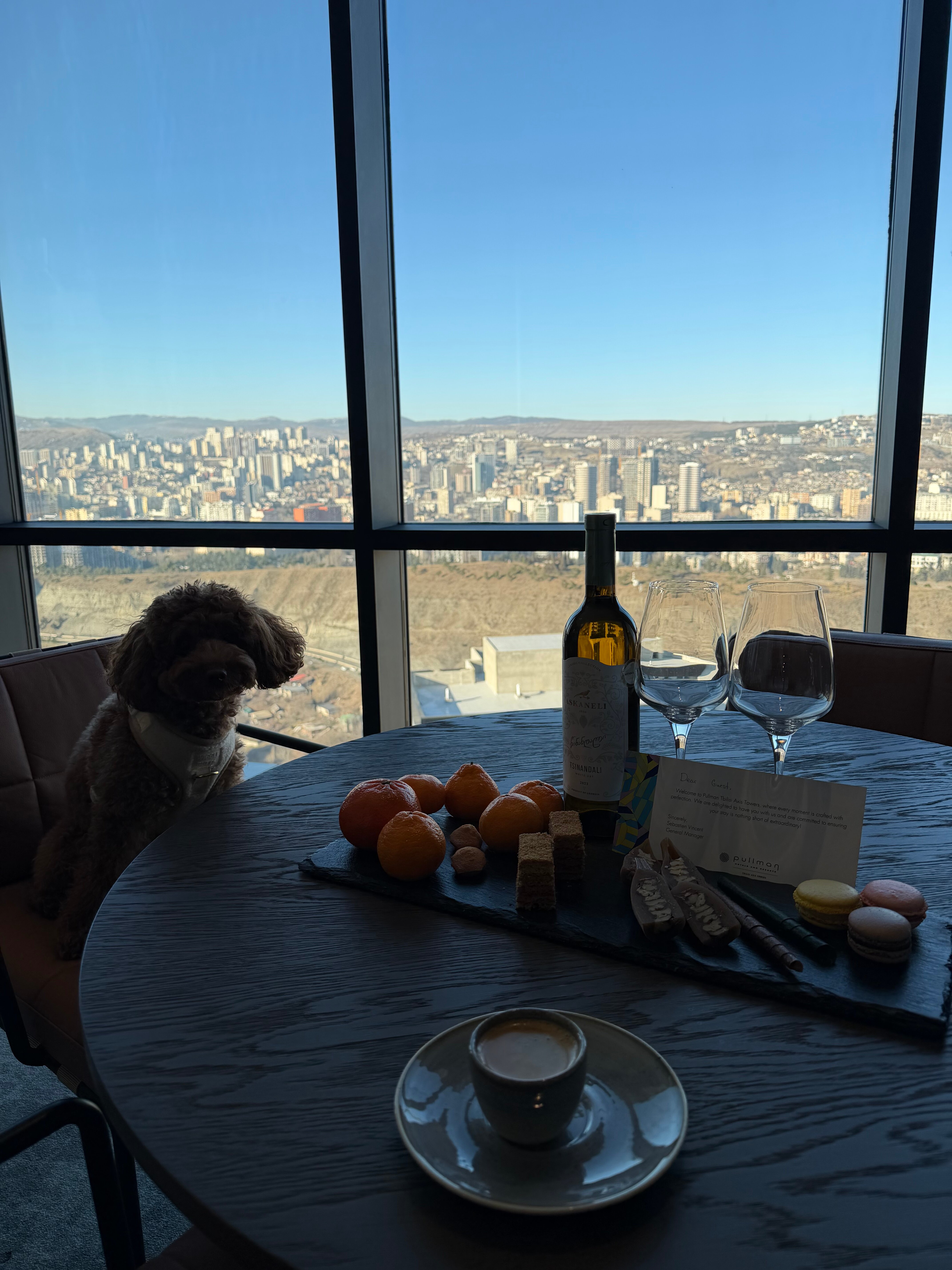 Фото Pullman Tbilisi Axis Towers