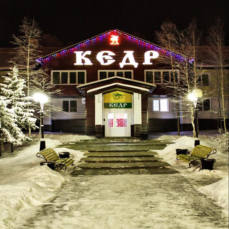 Фото Кедр