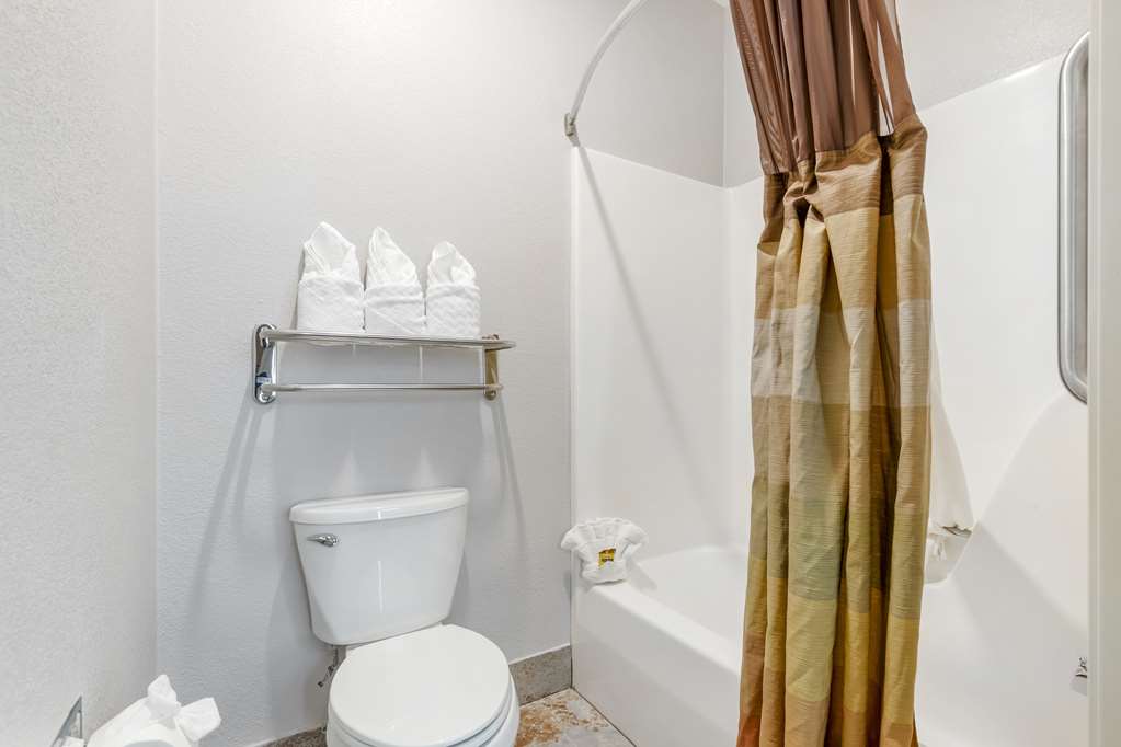 Фото Best Western Plus Des Moines West Inn & Suites