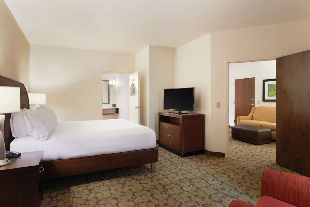 Фото Hilton Garden Inn Rochester Downtown