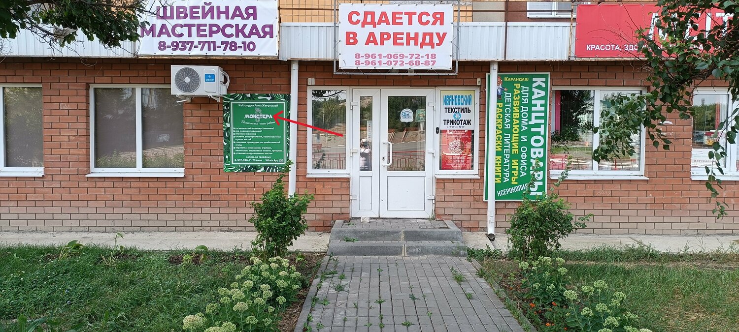 Монстера