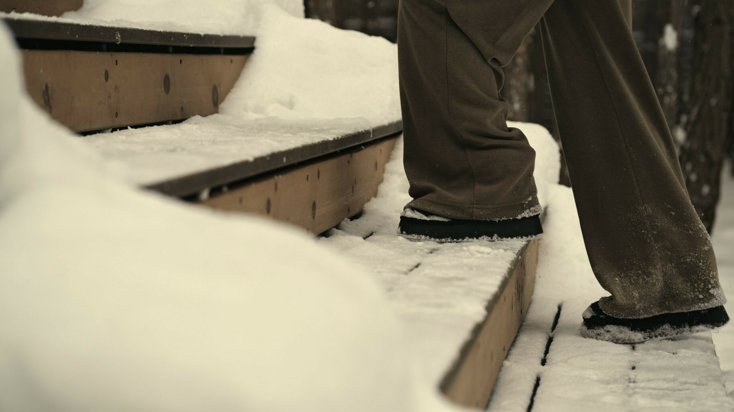 Фото Место под соснами