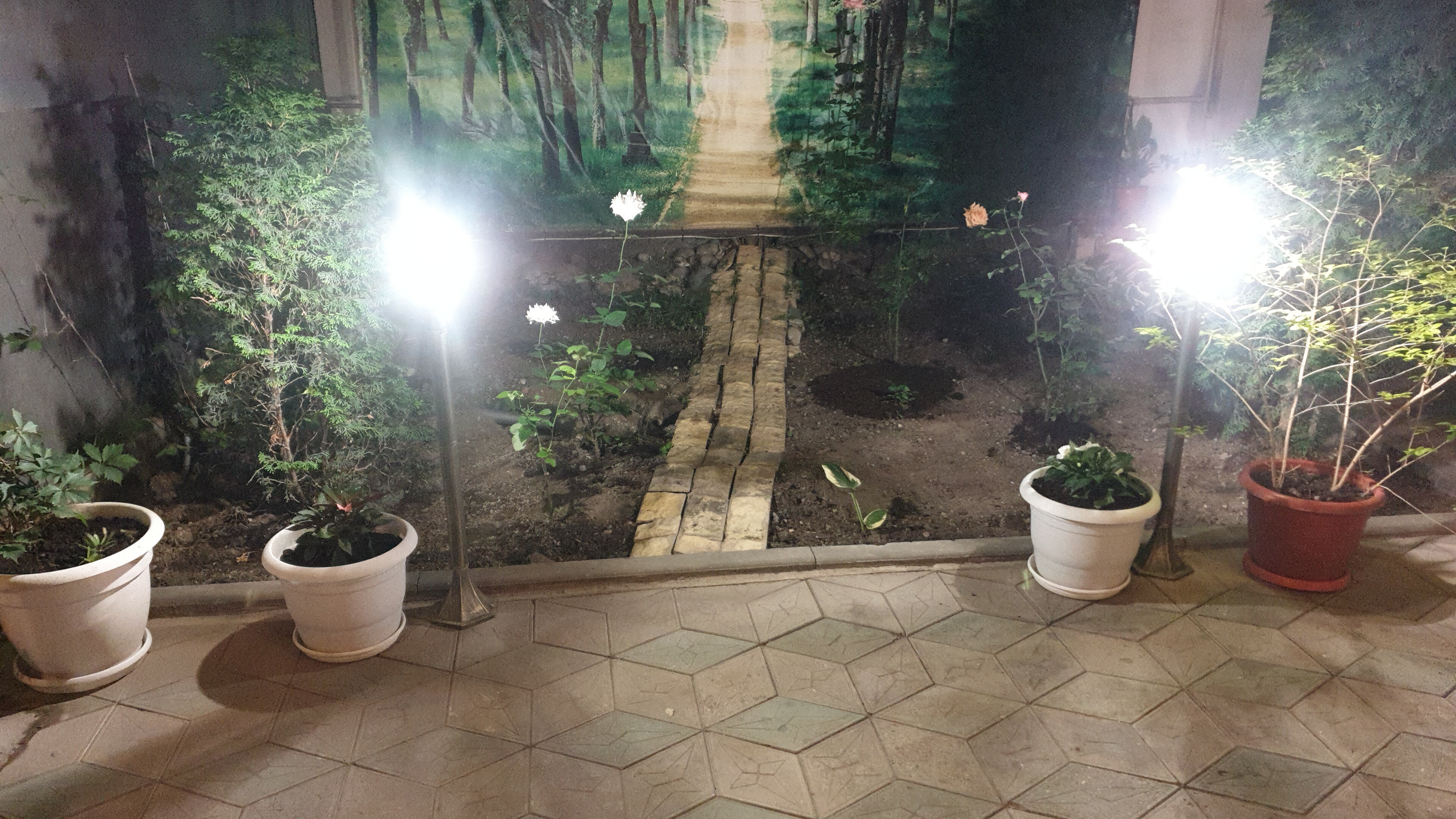 Фото У Нонны