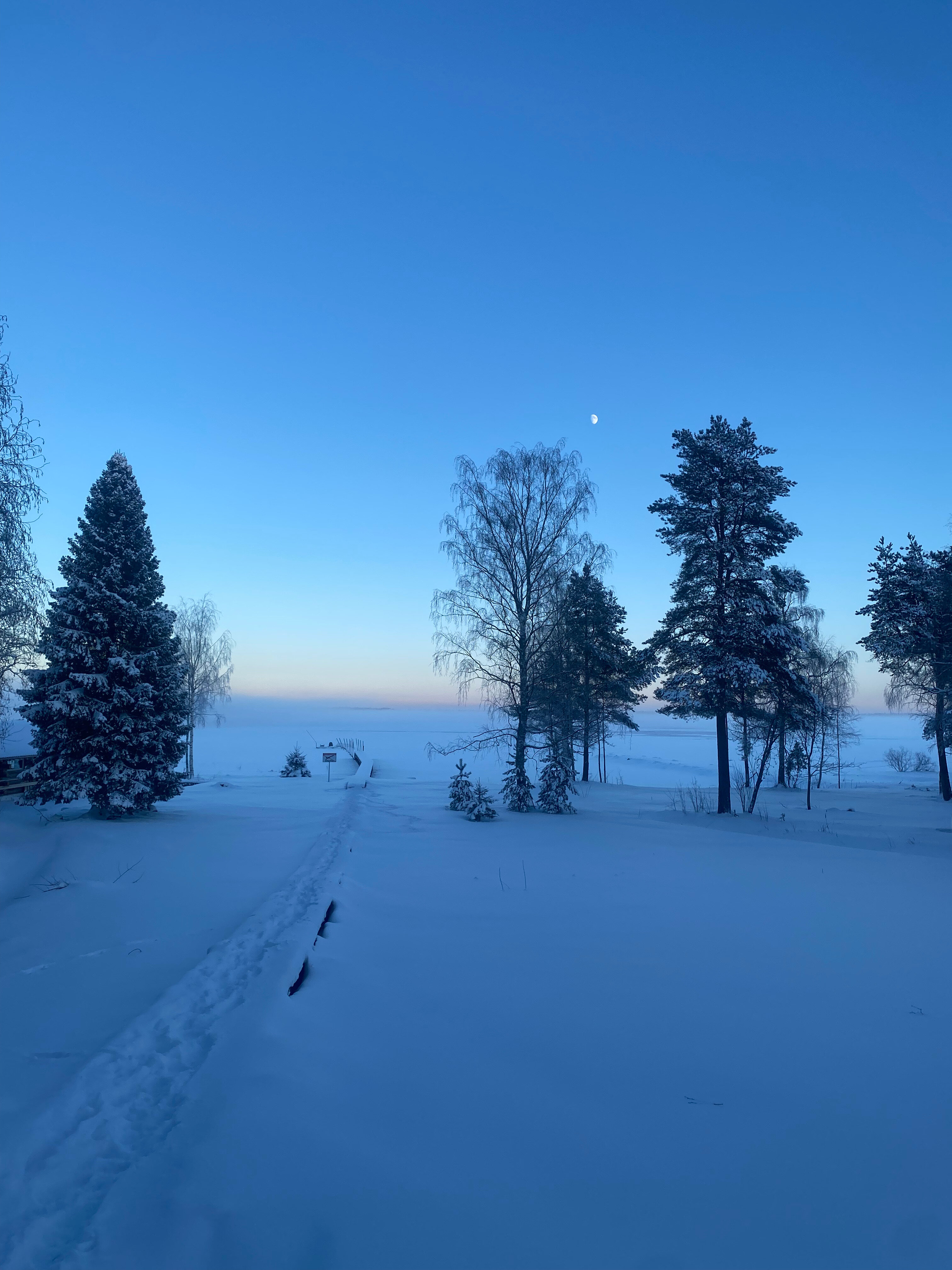 Фото Тало Ярви