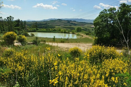Отдых на ферме Agriturismo Belmonte Vacanze в Монтайоне