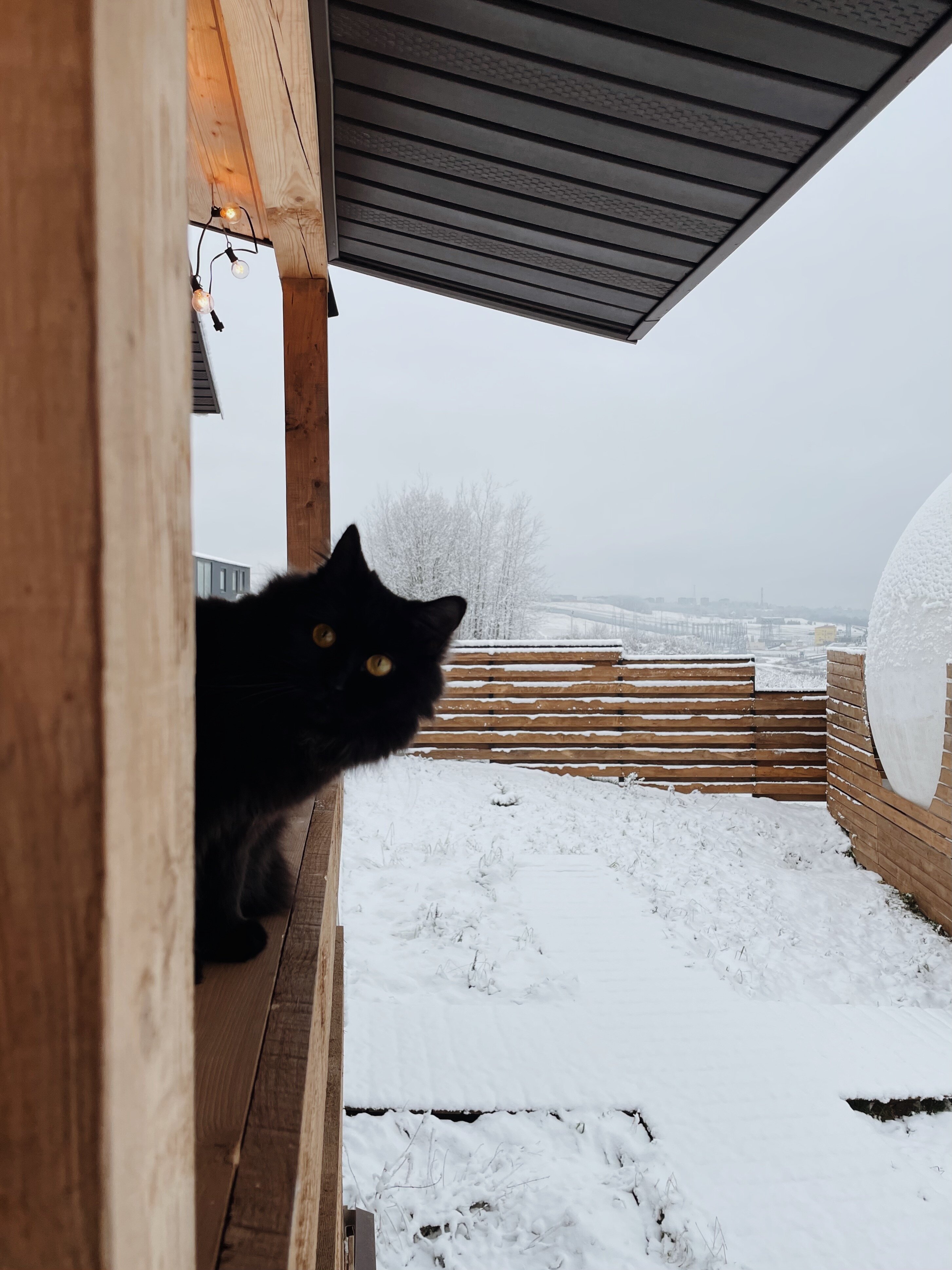 Фото Дом Лемура