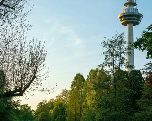 Гостиница Novum Hotel Mannheim City в Мангейме