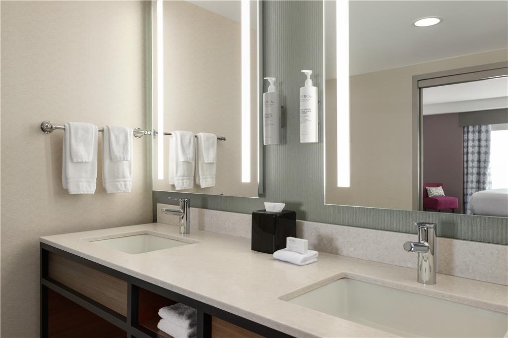 Фото Hilton Garden Inn Atlanta Downtown