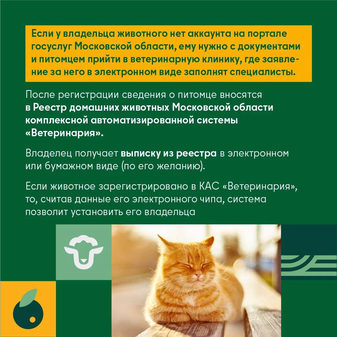 Долгопрудненская участковая ветеринарная лечебница - фото 8