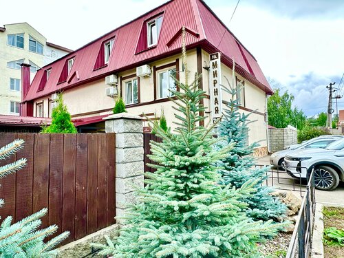 Белый филин  фото 1