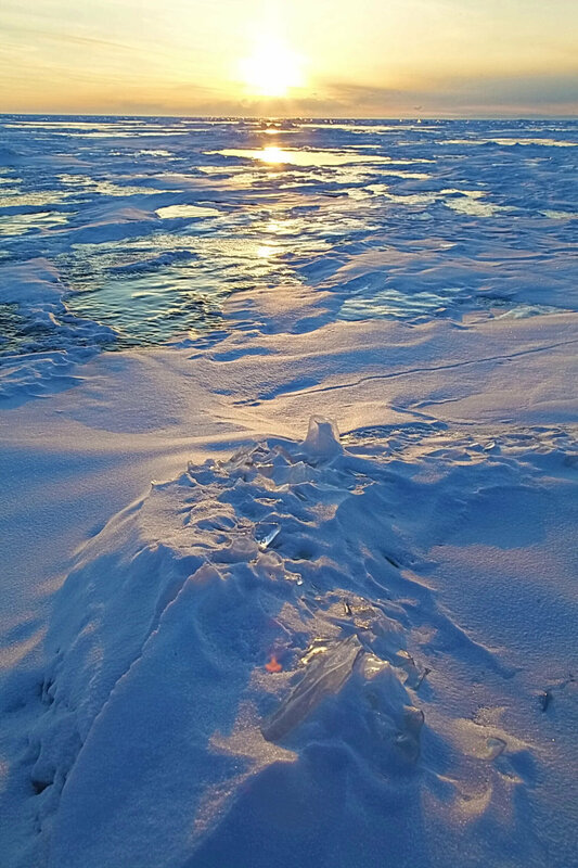 Байкальская солянка — фото 16
