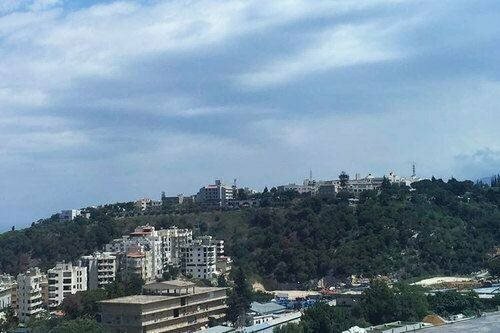 Гостиница Damask Rose Lebanese Guest House в Джунии