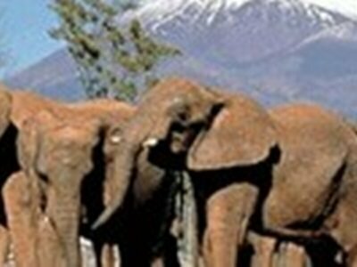 Гостиница Hotel Select Inn Mishima в Нумадзу