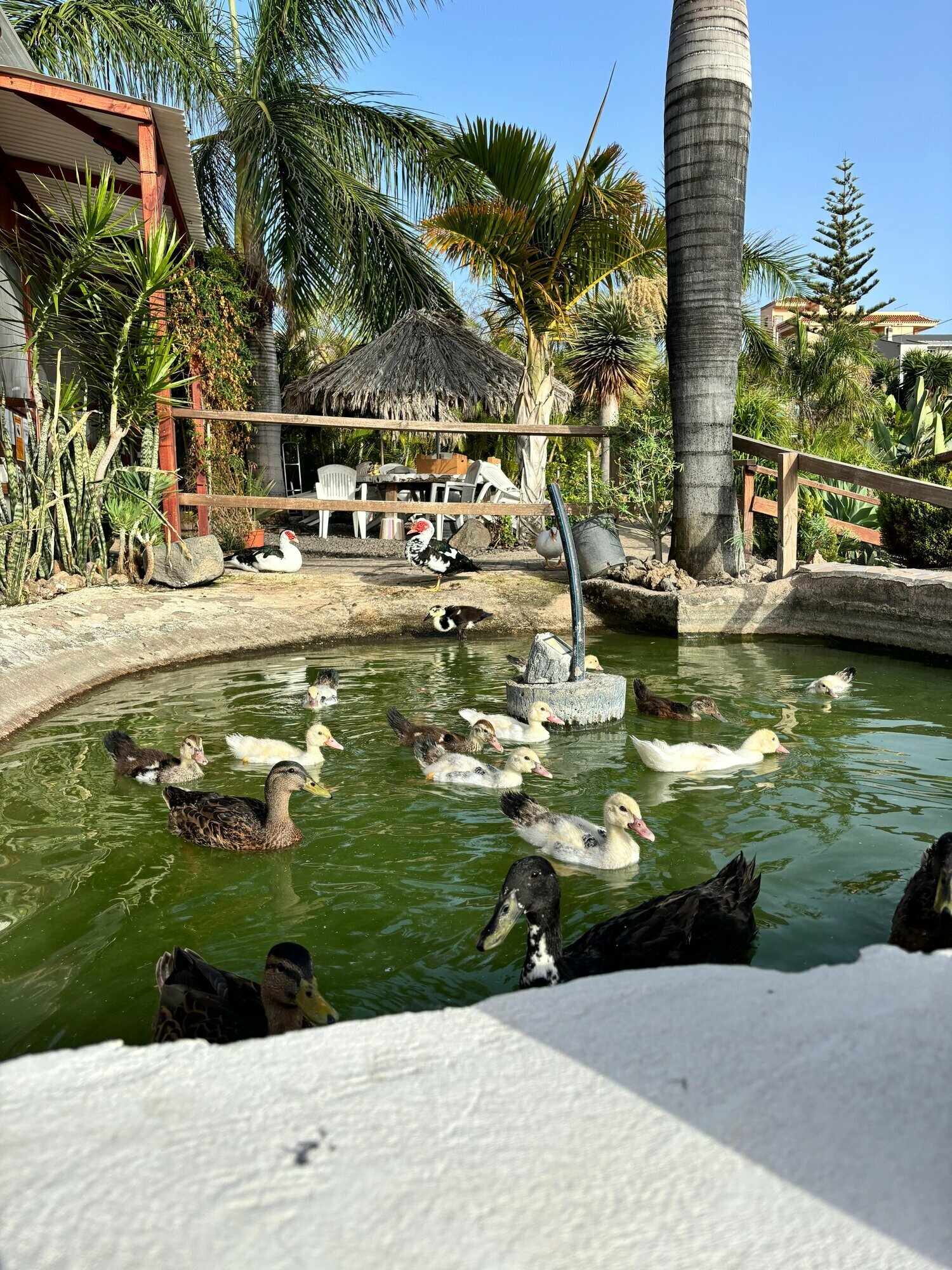 Фото Agro Camping Invernaderito