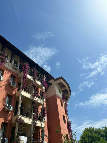 Гостиница Palmeras Beach Hotel в Аланье