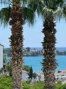 Гостиница Side Prenses Resort Hotel & Spa