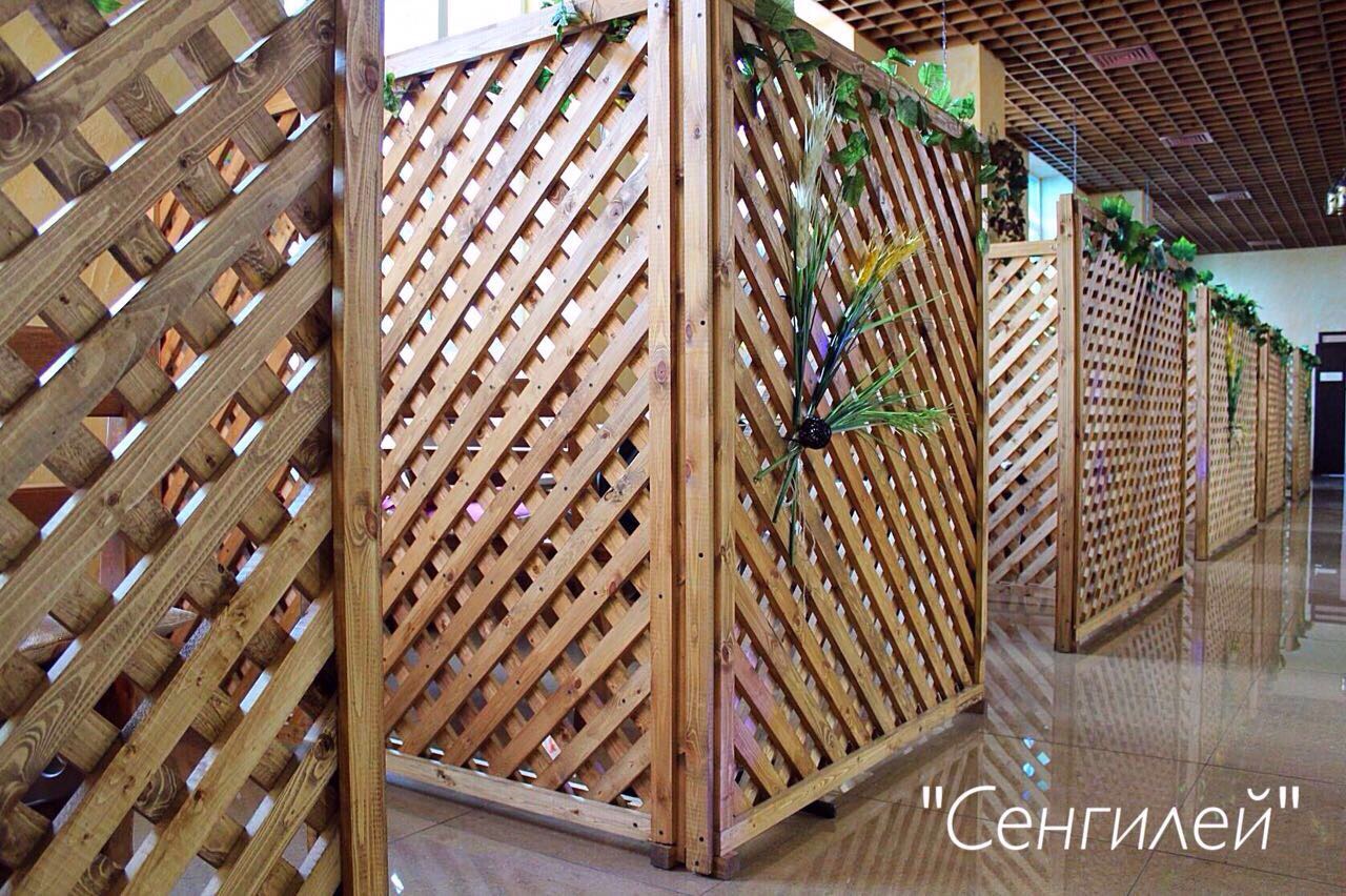 Фото Сенгилей