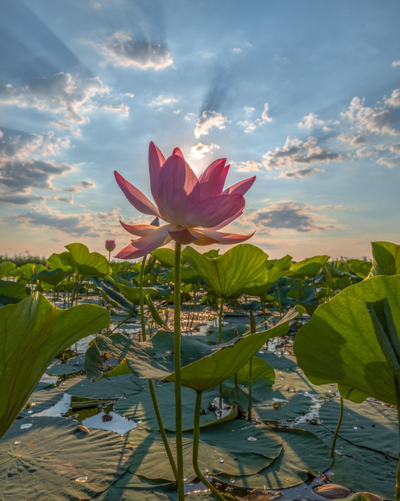 Фото Azimut Парк Отель Волга Астрахань