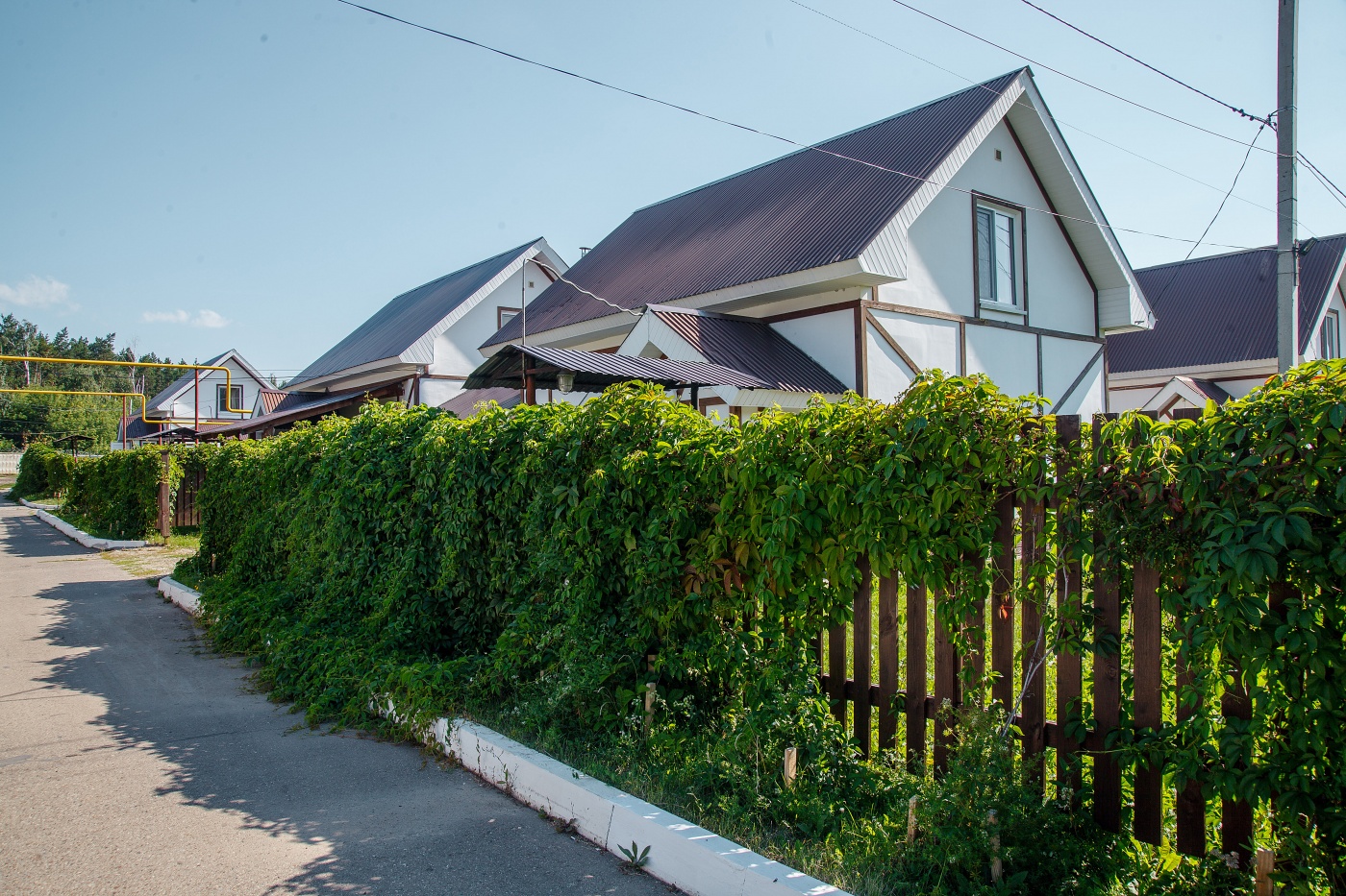 Фото Белая дача