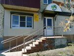 Globus (Bogdana Khmelnytskogo Street, 59), travel agency