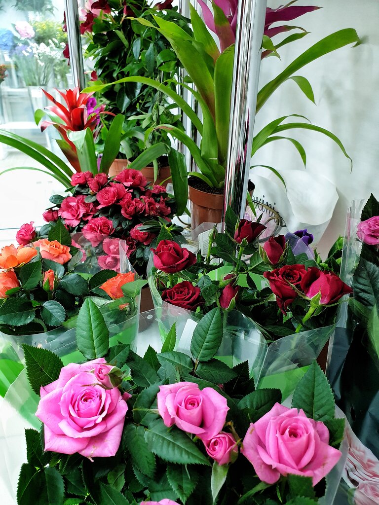 Flower shop Baza Cvetov 24, Nizhny Novgorod, photo