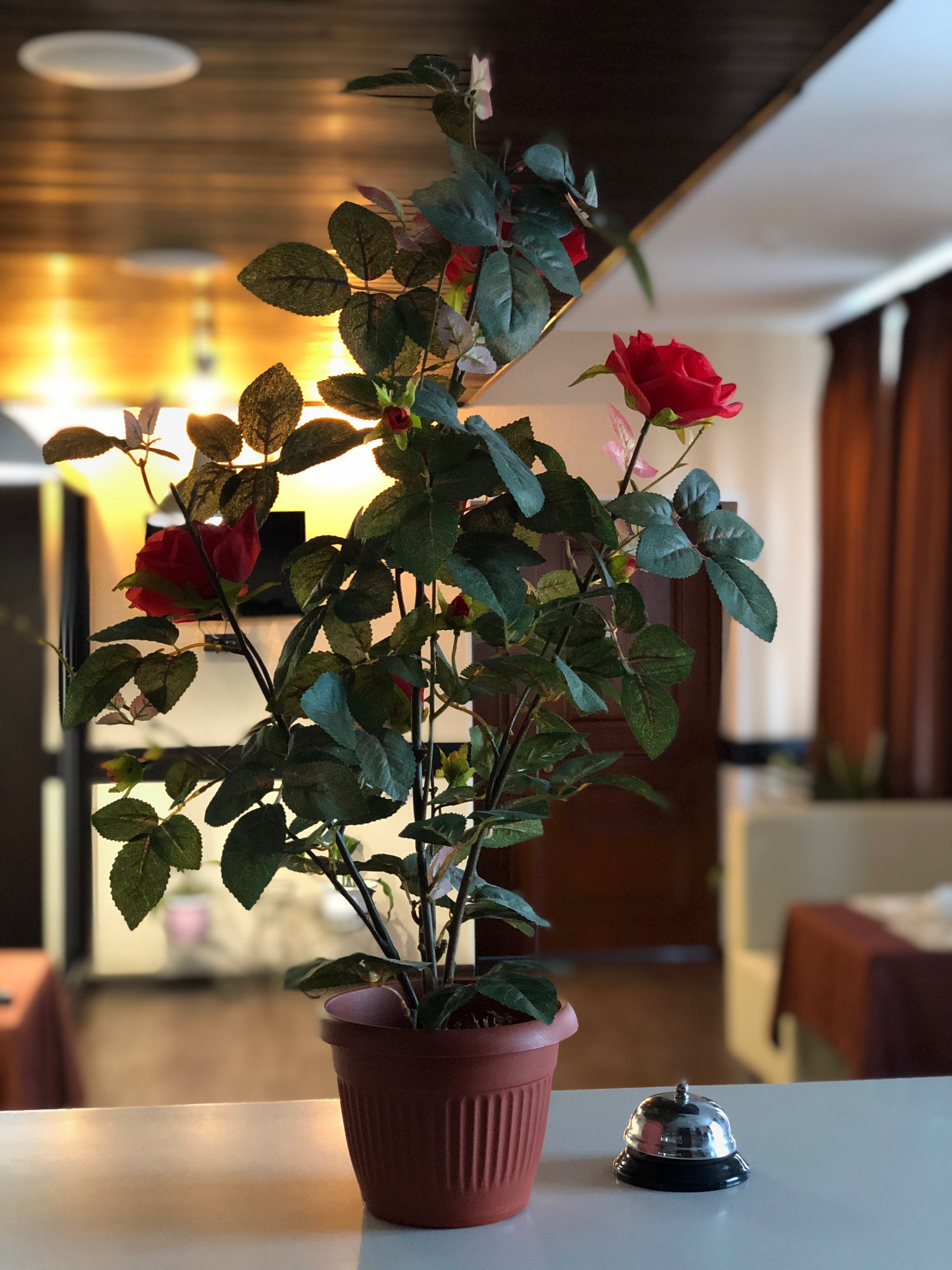 Фото Спутник Inn