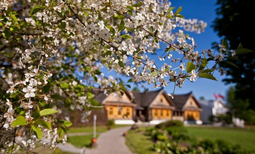 Фото Пушкарская слобода