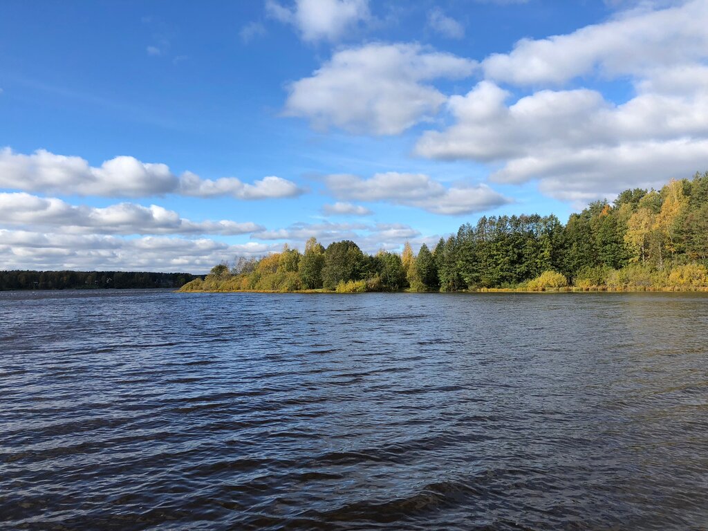 Ақпараттық интернет-сайт Zagorod.ru, Санкт‑Петербург, фото