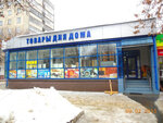 Narodnyye okna (Tambovskaya ulitsa, 2А) ، شبابيك