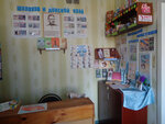 Лофицкая сельская библиотека (selo Lofitskoye, ulitsa Lenina, 65), library