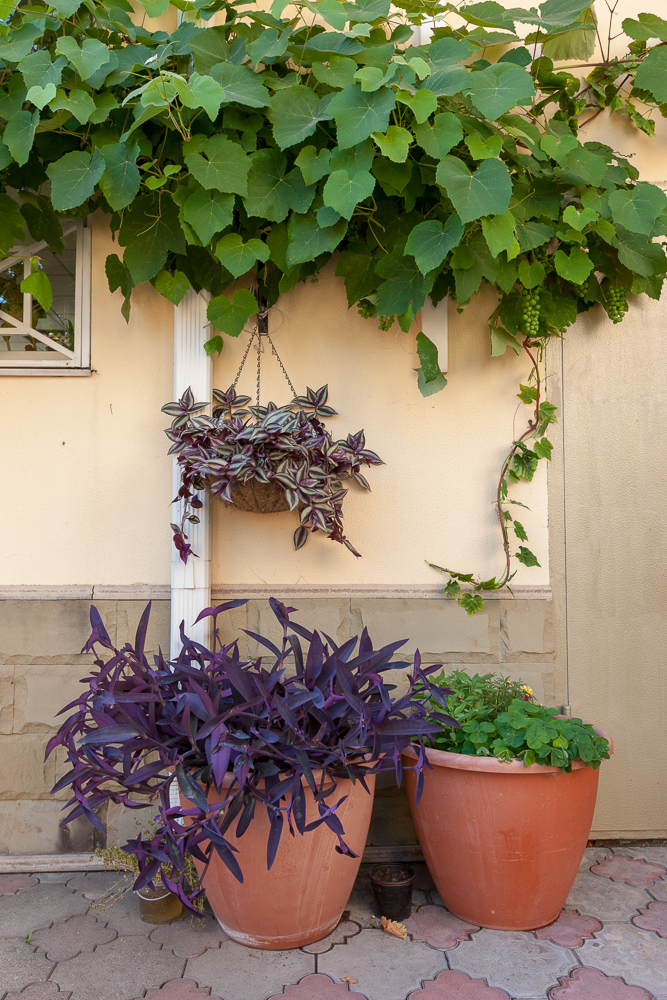 Фото Ла Манча