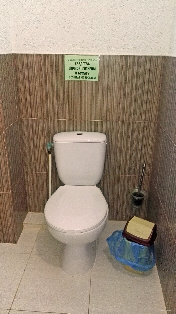 Фото Шафран