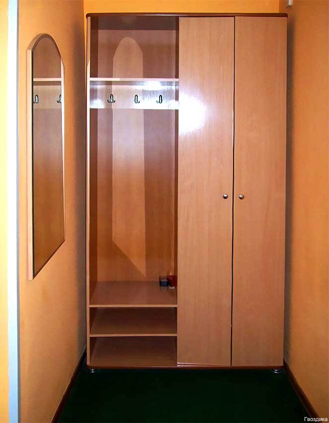 Фото Гвоздика