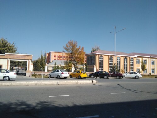 buvining semiz tukli mushuk