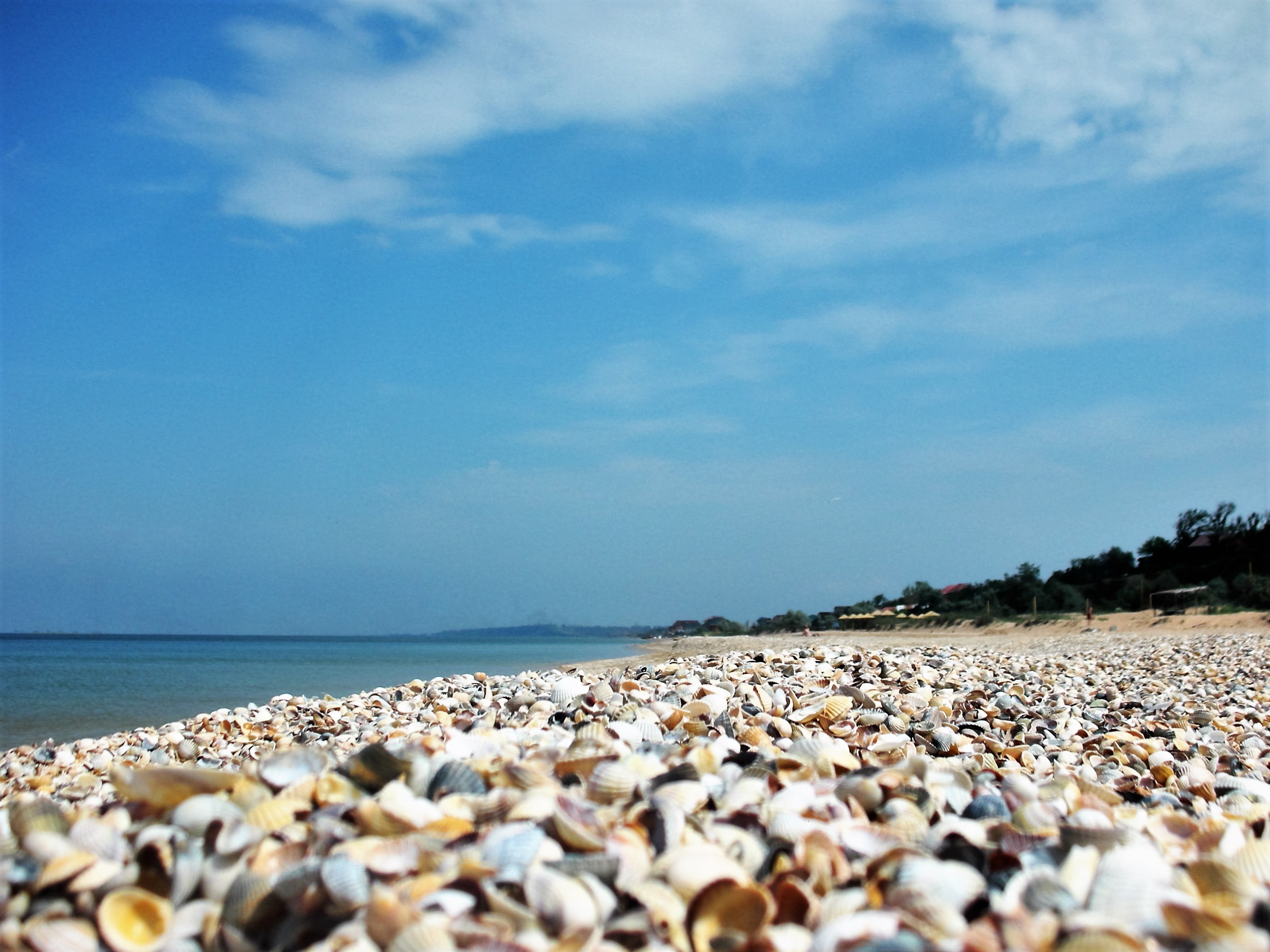 Фото Марианна