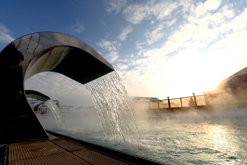 Фото Белая лошадь