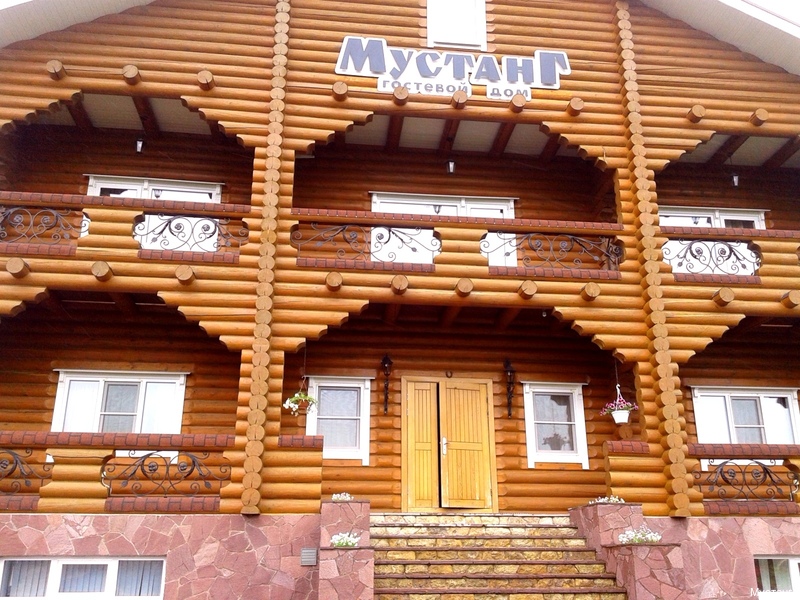 Фото Мустанг