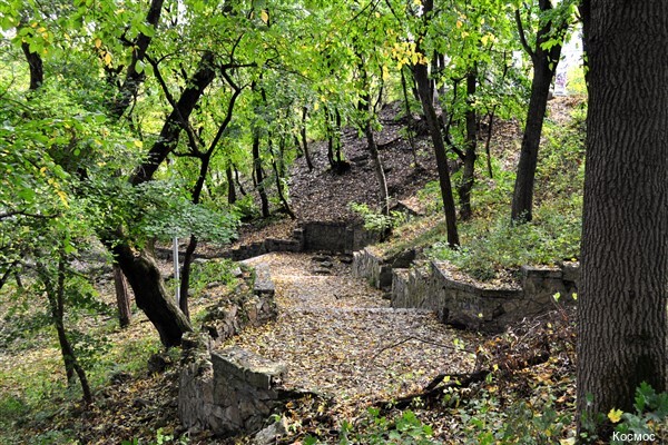 Фото Космос