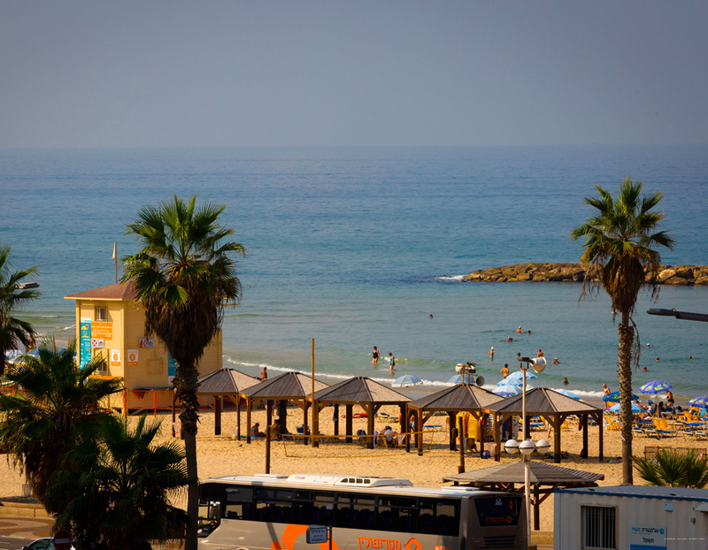 Фото Brown Seaside