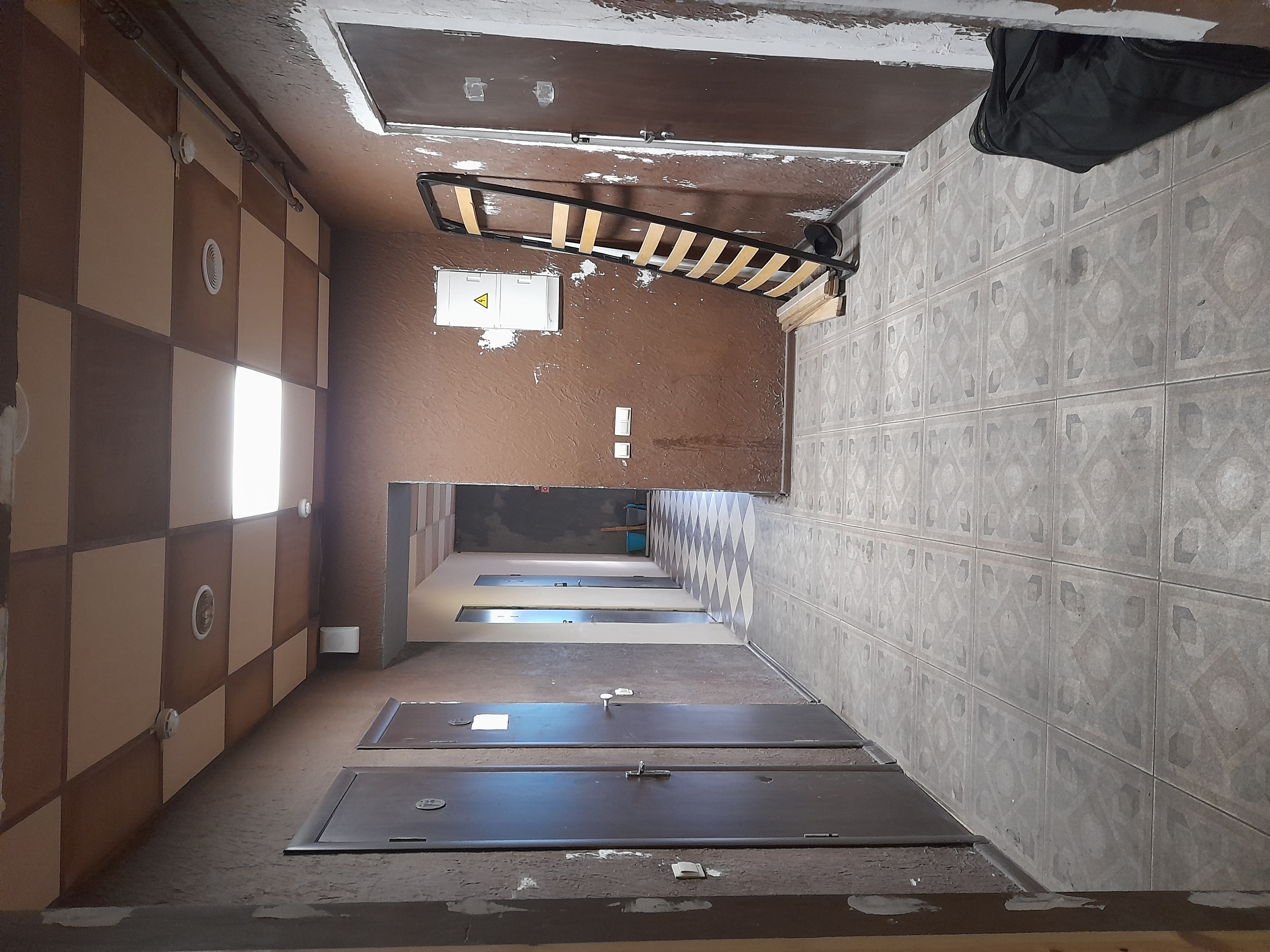 Фото Базилик 