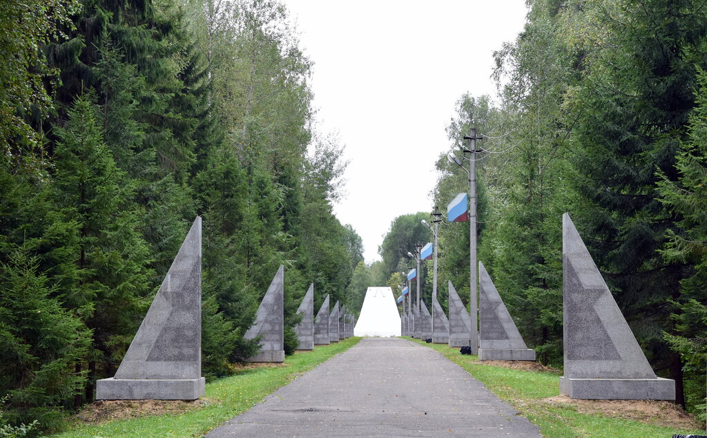 Памятник, мемориал Место гибели Ю.А. Гагарина и В.С. Серёгина, Владимирская область, фото