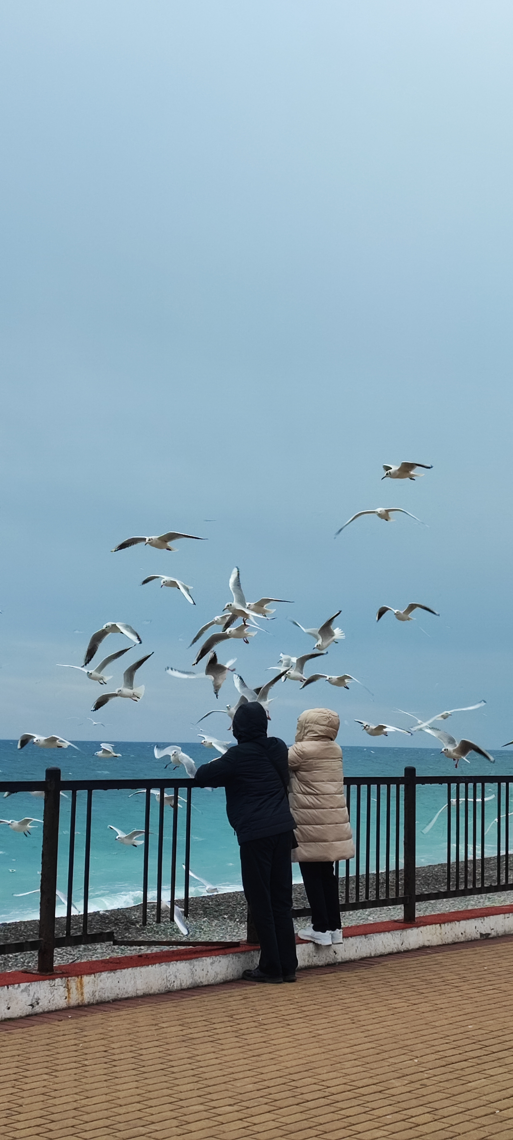 Фото Гостевой дом Сезон