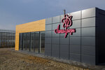 Rose line (Ramenskoye, territoriya 10-y kilometr Avtodorogi MMK - Ramenskoye, 7), invernadero
