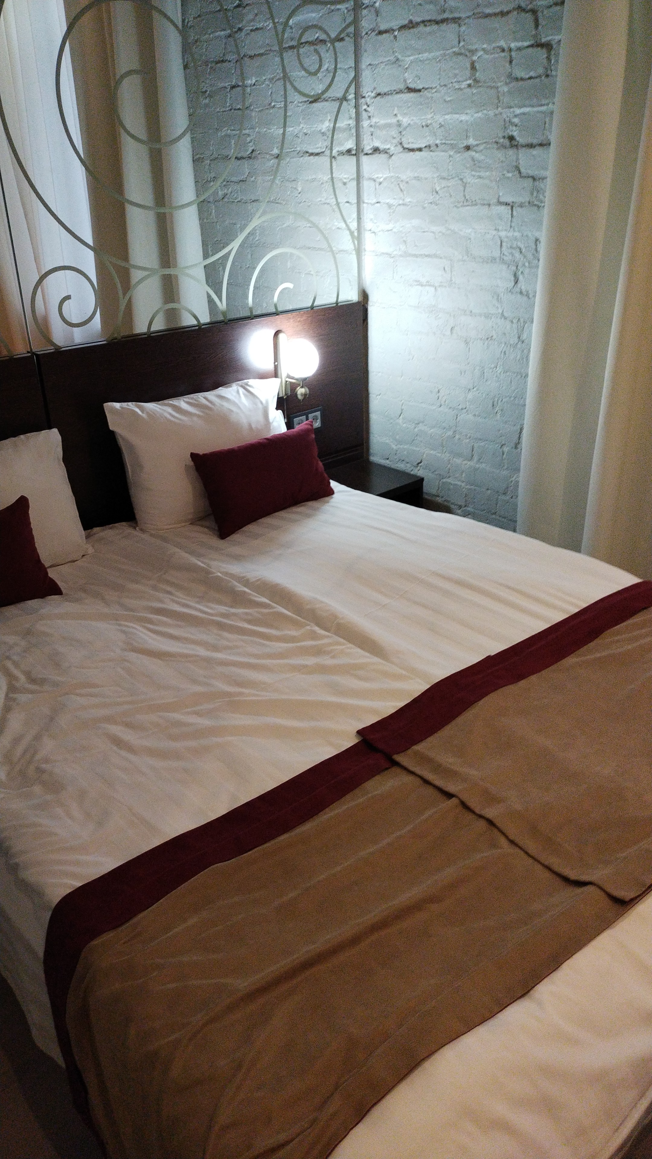 Фото Летучая мышь