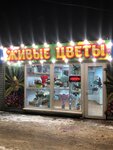 Natural flowers (posyolok Stroitel, Pridorozhnaya ulitsa, 30), flower shop